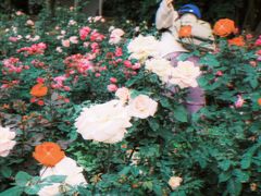 -人民公园(罗湖区)