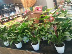 -果蔬好生活超市(乐堤港店)