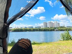 -沈阳鸟岛