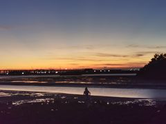 -宝安西湾红树林湿地公园