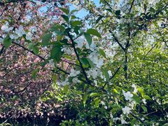 -昆山城市生态森林公园