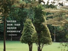 -厦门悦华酒店