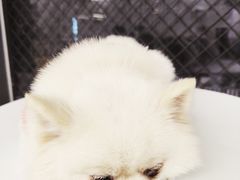 -怪兽屋·羊驼·猫咖·狗咖(俊华广场店)