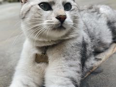-李叔同故居纪念馆