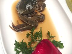 -蝶园·装修中(BFC外滩金融中心店)