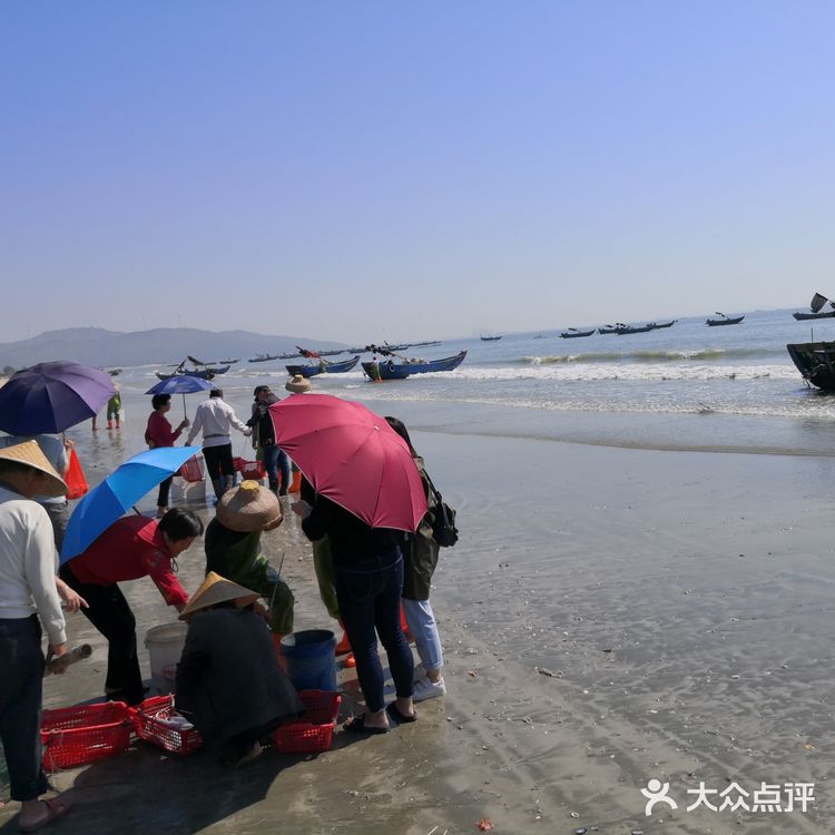 金厢赶海记