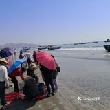 金厢赶海记