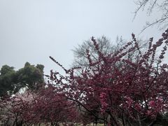 -堤角公园