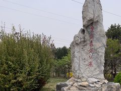 -云岗森林公园