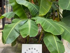 -Metal hands·铁手咖啡