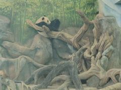 -武汉动物园