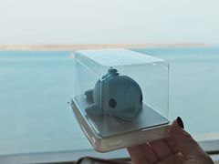 小海豚蛋糕-抱抱地球咖啡馆(国家海洋博物馆店)