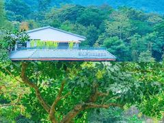 -广州市白云山风景名胜区