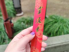 -灵隐飞来峰景区