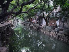 -小洲村