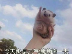 -梁记粥铺(开元地中海店)