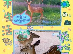 -水上乐园·欢乐世界