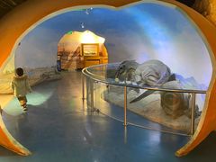 -国家自然博物馆