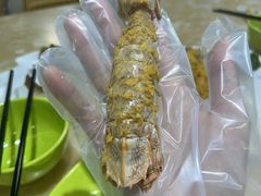 -小海豚•老字号海鲜餐厅(天涯店)