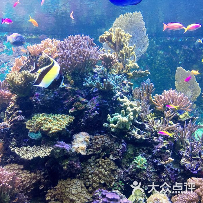 s.e.a.海洋馆