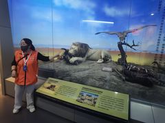 -国家自然博物馆