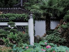 -莫愁湖公园