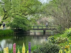 -上海共青森林公园