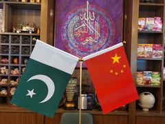 -Sultan pakistan苏单巴基斯坦