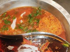 -大龙燚火锅(春熙店)