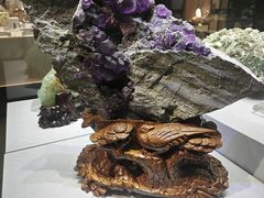 -湖南省地质博物馆