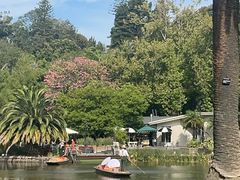-墨尔本皇家植物园