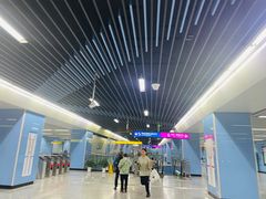 -大龙山(地铁站)