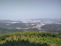 -黄埔油麻山森林公园