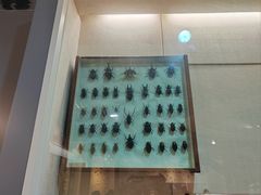 -哈尔滨师范大学(松北校区)