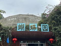 -野象谷景区