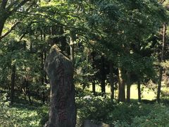 -庐山风景区花径公园