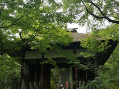 -常寂光寺