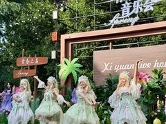 -西苑公园