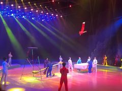 -重庆国际马戏城
