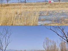 -野鸭湖国家湿地公园