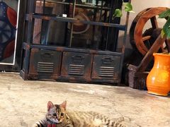 -么么咖啡(燕郊店)