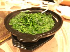 -金燕岛潮州酒楼