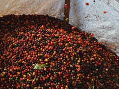 -Torch Coffee 炬点咖啡