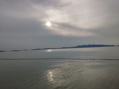 -古尚锦酒楼·水上餐厅