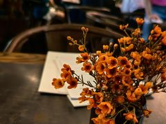 -Apollo·西班牙小酒馆(安福路店)