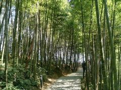 -径山寺