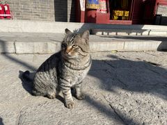 -青州市云门山风景区