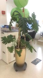 -黎蓓露·徒手骨雕蛋白抗衰·调肤管理