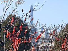 -南翠屏公园