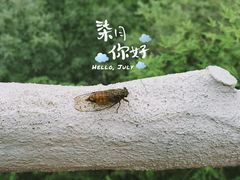 -十渡东湖港风景区